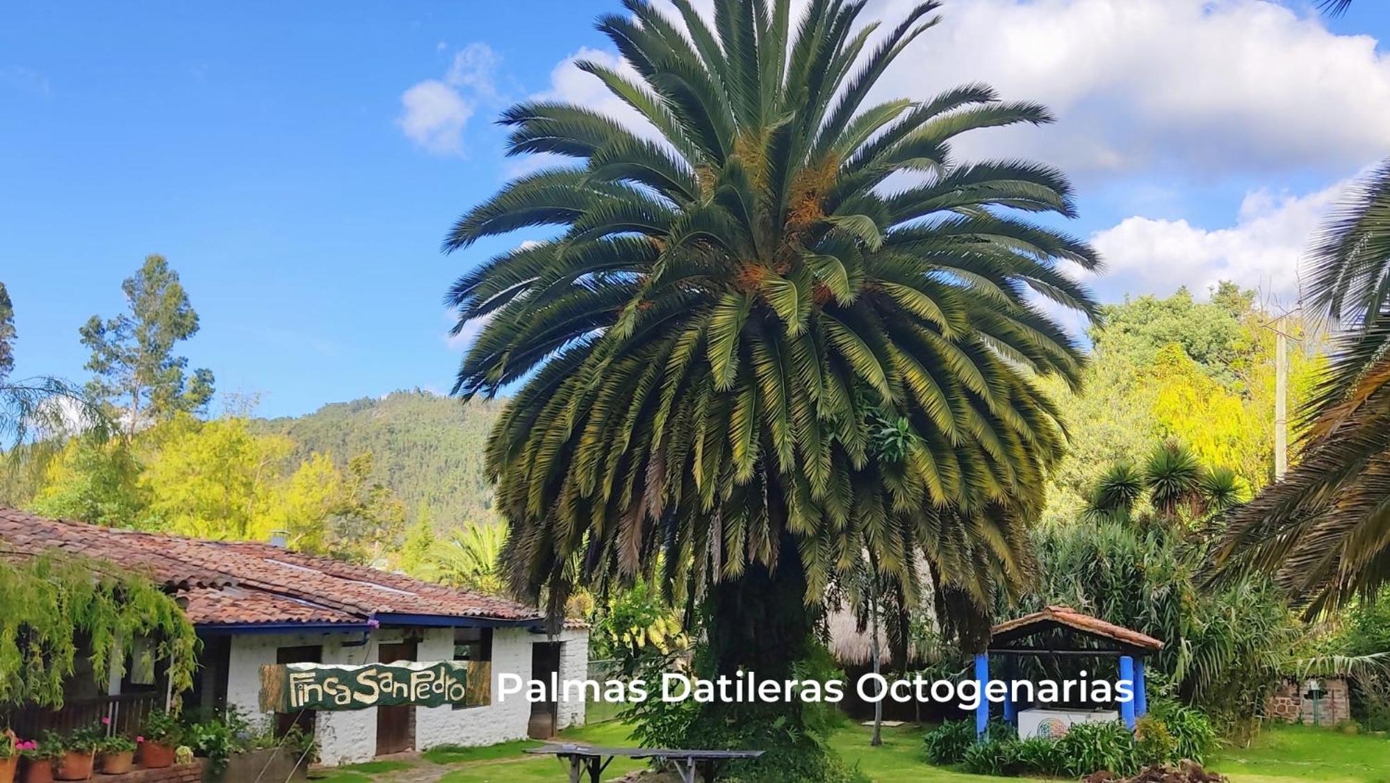 Finca San Pedro -Alojamiento Campestre Y Reserva Natural- Sogamoso Zewnętrze zdjęcie