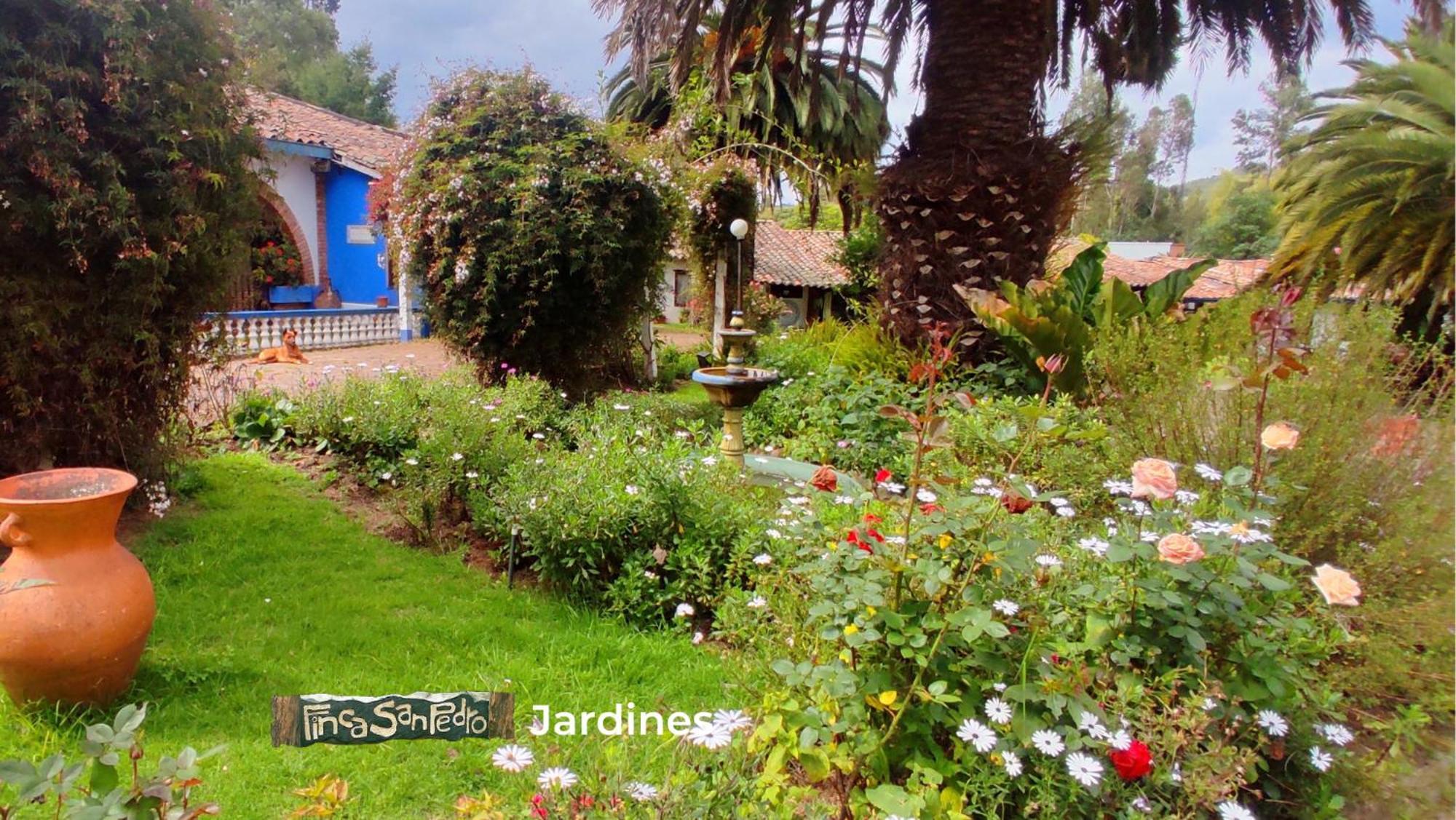 Finca San Pedro -Alojamiento Campestre Y Reserva Natural- Sogamoso Zewnętrze zdjęcie