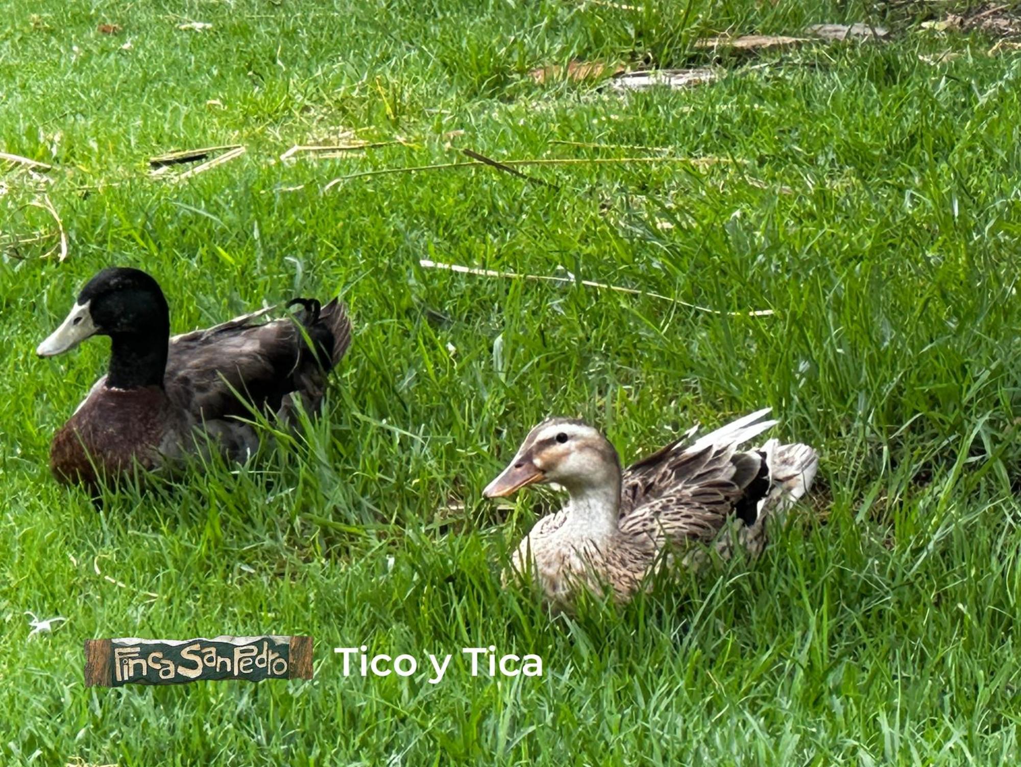 Finca San Pedro -Alojamiento Campestre Y Reserva Natural- Sogamoso Zewnętrze zdjęcie