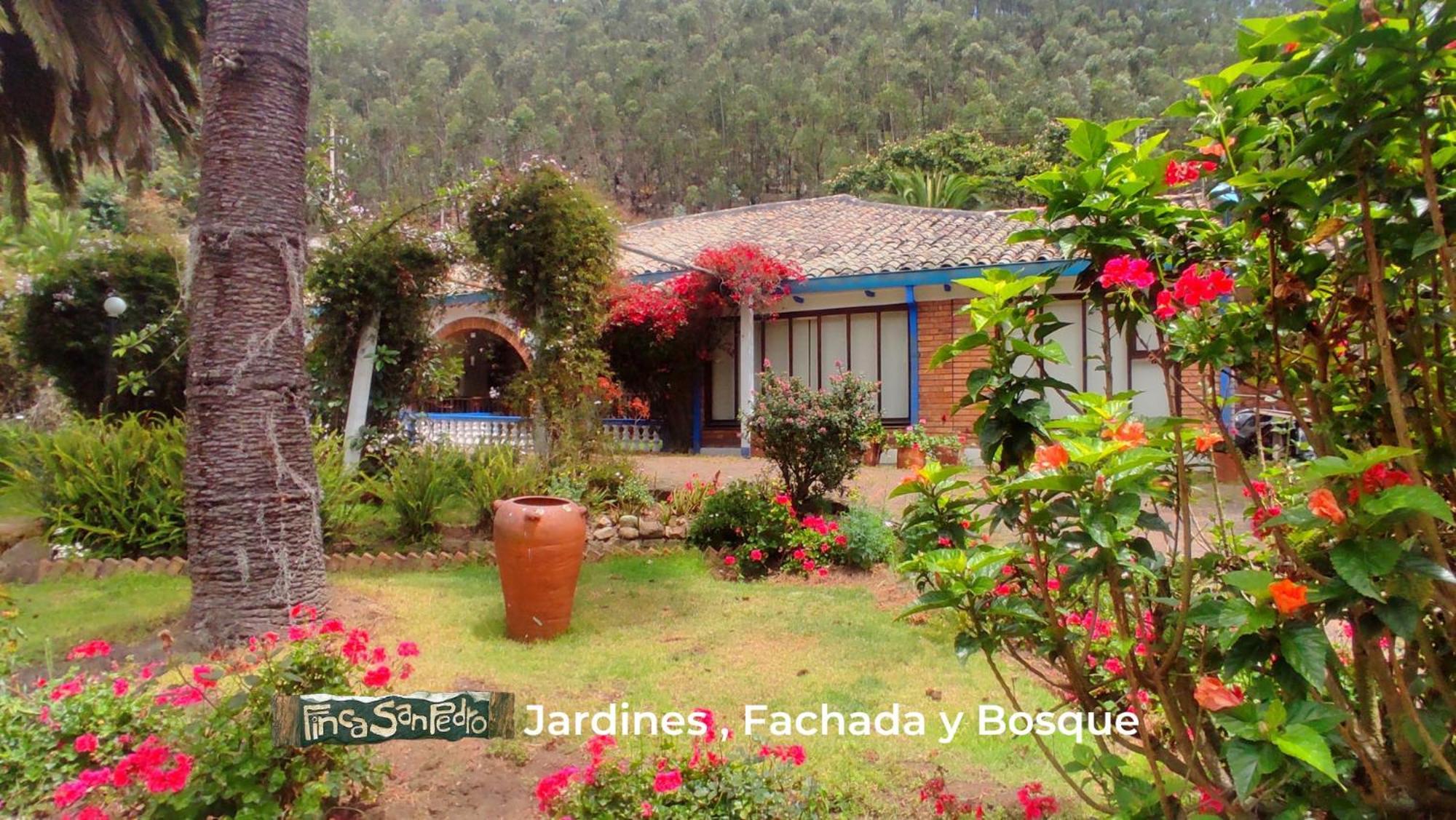 Finca San Pedro -Alojamiento Campestre Y Reserva Natural- Sogamoso Zewnętrze zdjęcie
