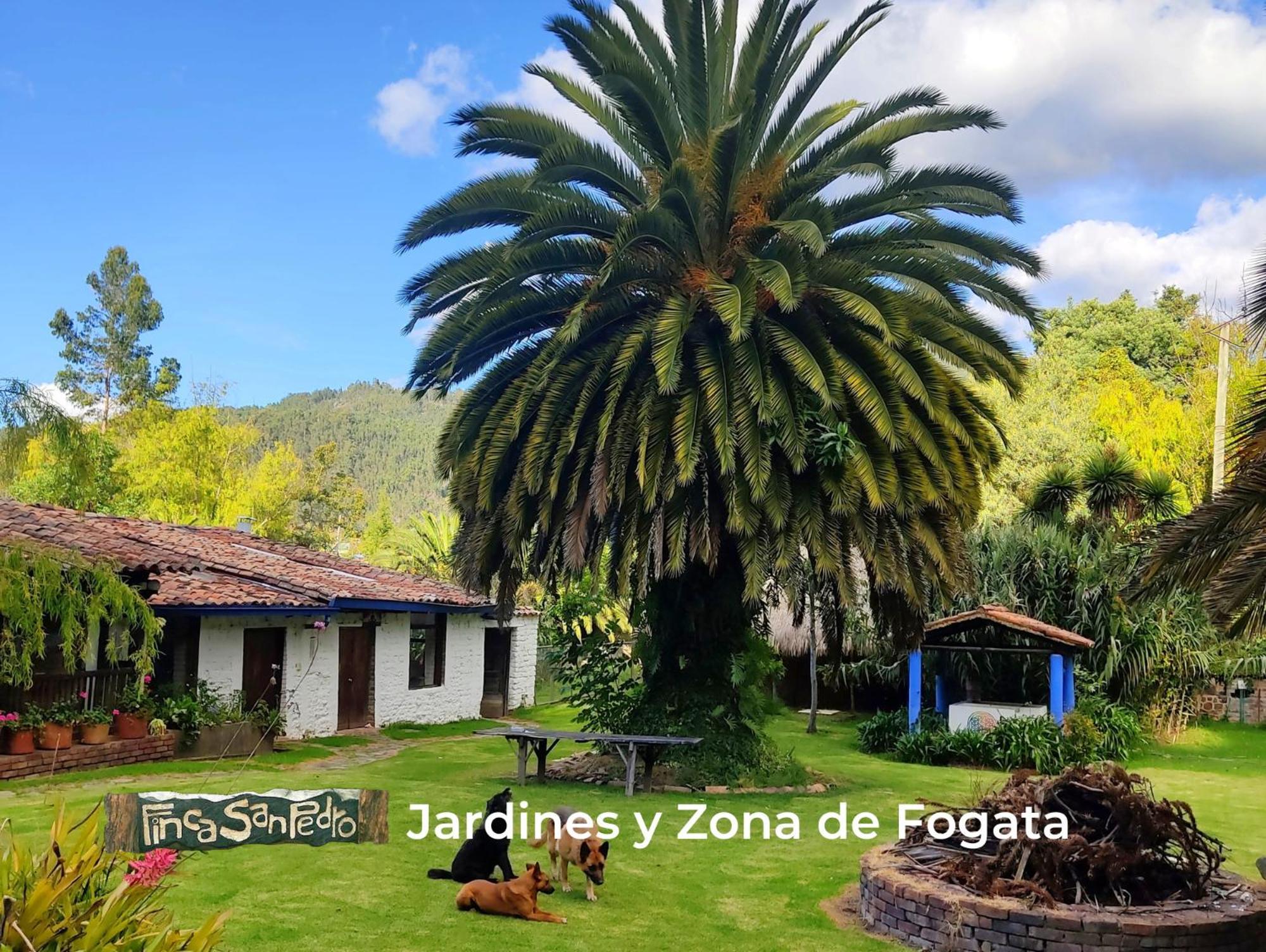 Finca San Pedro -Alojamiento Campestre Y Reserva Natural- Sogamoso Zewnętrze zdjęcie