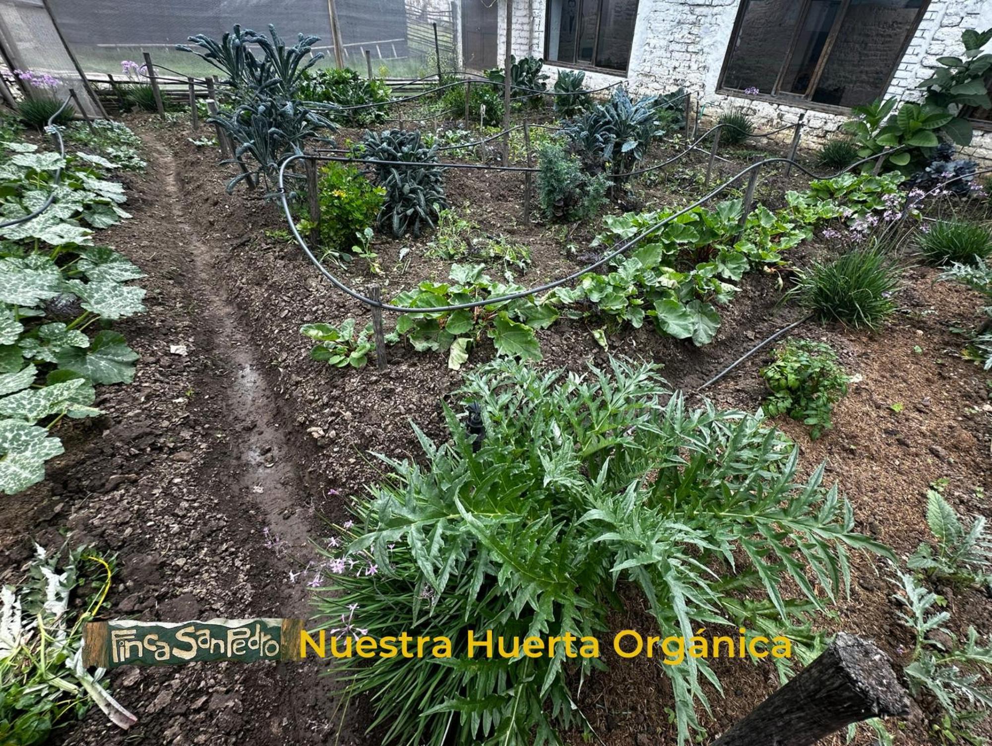 Finca San Pedro -Alojamiento Campestre Y Reserva Natural- Sogamoso Zewnętrze zdjęcie